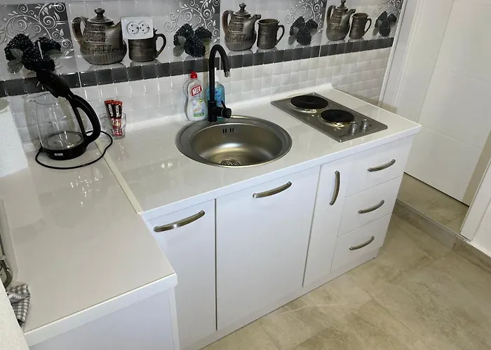 Bora - Free Parking - Center Appartement Vranje